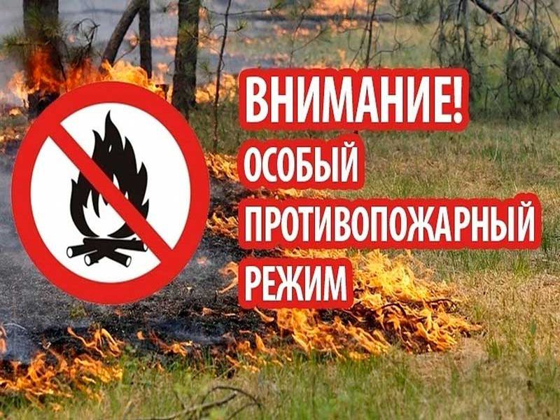 Особый противопожарный режим на территории муниципального района «Тарусский район».