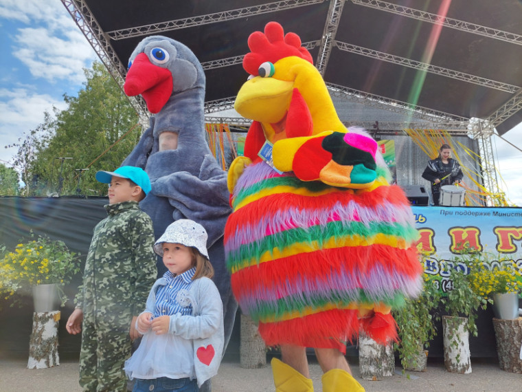 Яркий, веселый, незабываемый получился фестиваль "Петухи и гуси в городе Тарусе"..